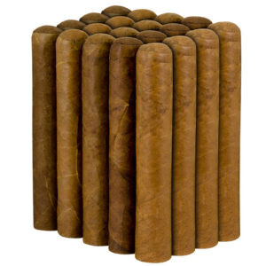 HoH - (Nicaragua) Churchill