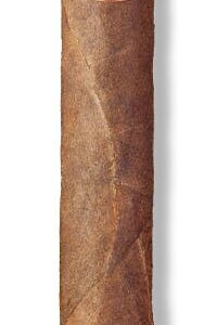 Casa Turrent - (1880 Maduro) Lancero
