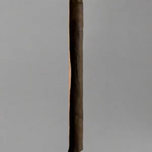 Torres De Nicaragua - Rapidito